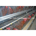 Hot Sale Galvanization Breeder Chicken Cage (A type)